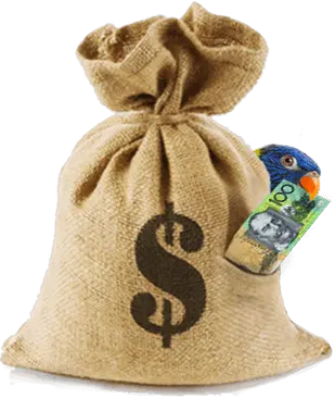 cash money parrot