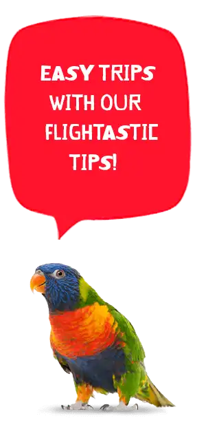 flying pet tips