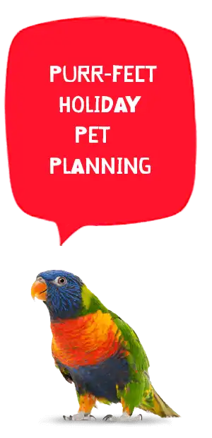 holiday pet planning